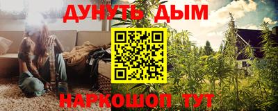 гидропоника Новозыбков