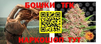 гидропоника Новозыбков