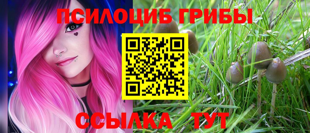 Галлюциногенные грибы прущие грибы Тихвин