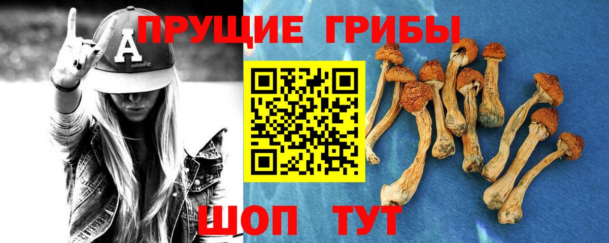 Тихвин  Псилоцибиновые грибы прущие грибы  Вход с VPN 